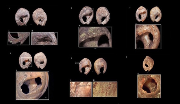Essaouira: découverte du bijou le plus vieux du monde. une parure de bijoux vieille de 150.000 ans Essaouira: découverte du bijou le plus vieux du monde. une parure de bijoux vieille de 150.000 ans
