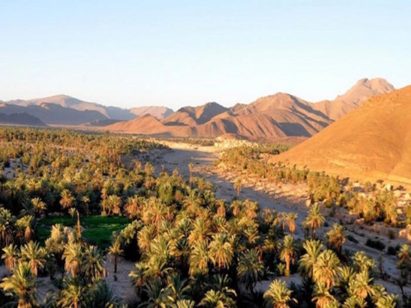 Guelmim Tourisme   Patrick Simon : « Guelmim-Oued Noun mérite une attention plus marquée »