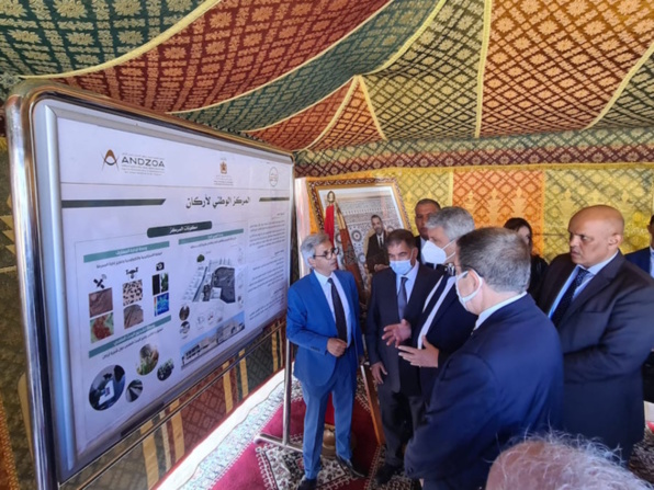 ANDZOA  / Visite du chantier de construction du Centre National de l’Arganier à Agadir ; et visite du périmètre de transplantation des Arganiers adultes à la commune de Tidssi à Taroudant.