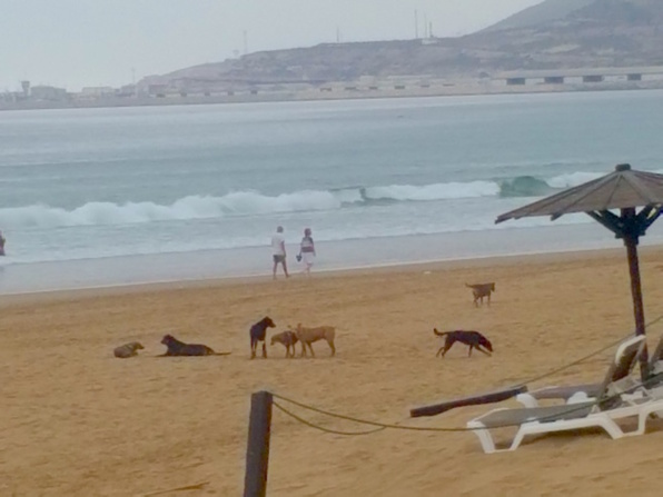 Agadir CUA : Gestion communale : se donner les moyens de ses ambitions.