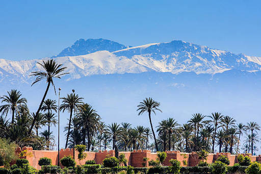 Les professionnels du tourisme de la région de Marrakech-Safi, en Force au Salon FITUR MADRID.