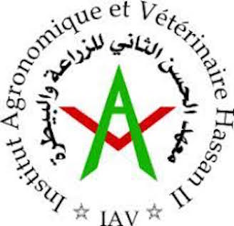 Rabat : Institut agronomique et vétérinaire Hassan II .  19éme édition du GRAND TOURNOI D’AMITIÉ 2024