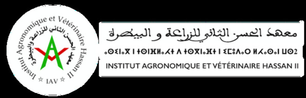 Middle East and North Africa Directors Meeting (MENA DM) Middle East and North Africa Directors Meeting (MENA DM)