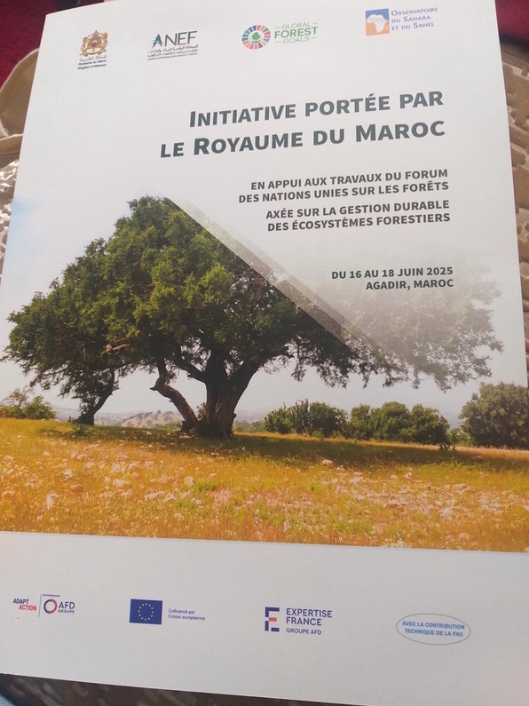 Agadir   Colloque  international . Gestion durable des Forêts en vue des travaux préparatoires du Forum des Nations Unies sur les Forêts du 16 au 18 juin 2025.