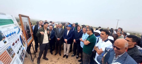 Agadir    Colloque International gestion durable des forêts      Partenariat avec les usagers de l’arganeraie