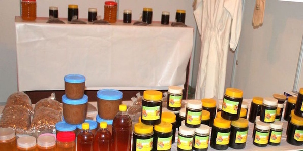 Agadir / Imouzzer Ida Outanane Festival du Miel à Aquesri 19 ème édition Agadir / Imouzzer Ida Outanane Festival du Miel à Aquesri 19 ème édition