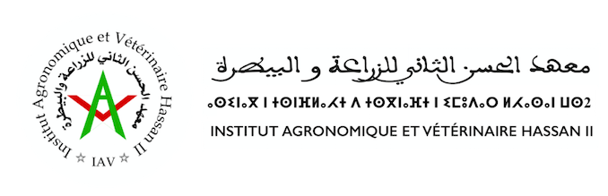 Middle East and North Africa Directors Meeting (MENA DM) Middle East and North Africa Directors Meeting (MENA DM)