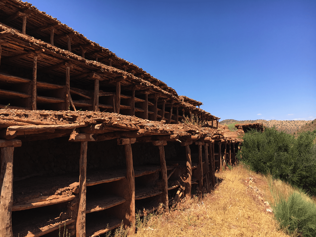 Agadir RUCHER D’INZERKI LE PLUS GRAND RUCHER TRADITIONNEL DU MONDE