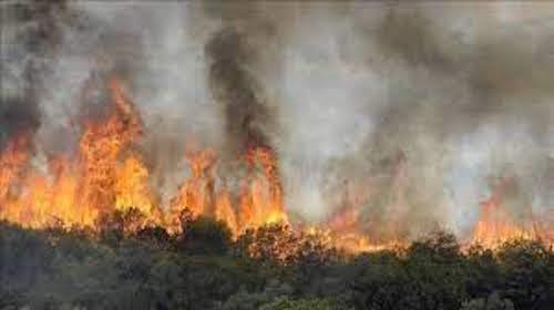 L' ANEF : Rappel de l’alerte nationale aux risques extrêmes  de la situation de forêts