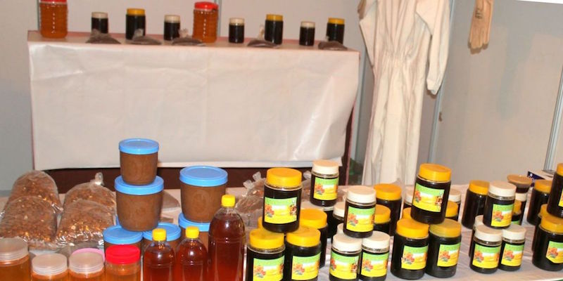 Agadir / Imouzzer Ida Outanane Festival du Miel à Aquesri 19 ème édition Agadir / Imouzzer Ida Outanane Festival du Miel à Aquesri 19 ème édition