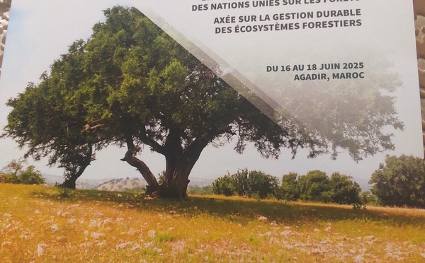 Agadir   Colloque  international . Gestion durable des Forêts en vue des travaux préparatoires du Forum des Nations Unies sur les Forêts du 16 au 18 juin 2025.