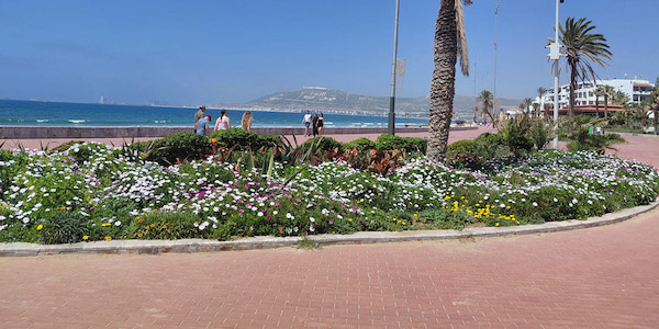 Tourisme : la destination Agadir signe un 1er trimestre positif
