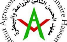 Rabat : Institut agronomique et vétérinaire Hassan II .  19éme édition du GRAND TOURNOI D’AMITIÉ 2024