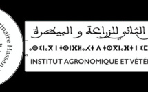 Middle East and North Africa Directors Meeting (MENA DM)