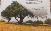 Agadir   Colloque  international . Gestion durable des Forêts en vue des travaux préparatoires du Forum des Nations Unies sur les Forêts du 16 au 18 juin 2025.