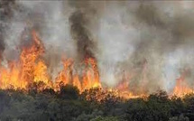 L' ANEF : Rappel de l’alerte nationale aux risques extrêmes  de la situation de forêts L' ANEF : Rappel de l’alerte nationale aux risques extrêmes  de la situation de forêts