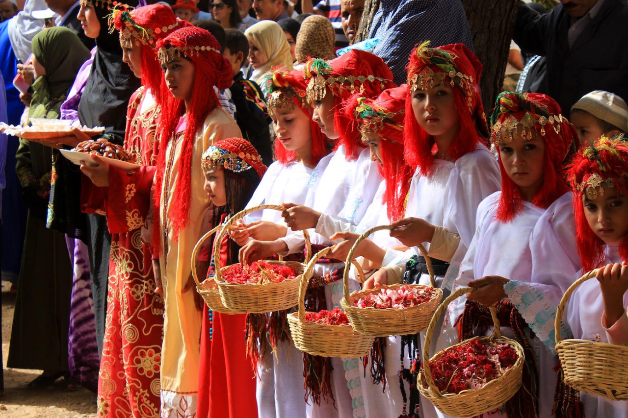 imouzzer 005 imouzzer 005